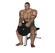 Anterior Raise - Seated Forward Plate